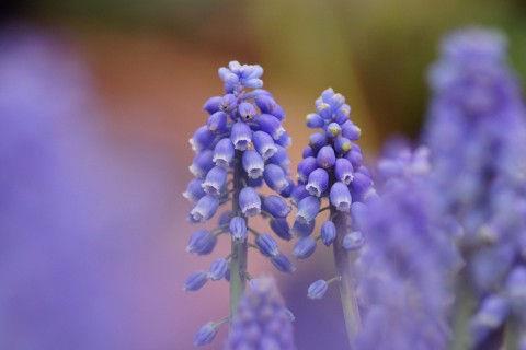 再忙也要注意身体的语句