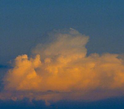 打卡温馨提示语大全