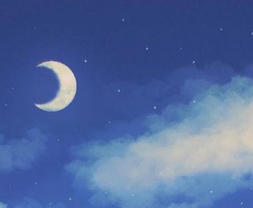 ​性网性签名精选99句