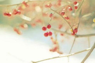 ​2024年12月你好加油的微信签名 微信个性签名(精选66句)