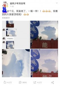 ​大吉大利，今晚撸……猫？