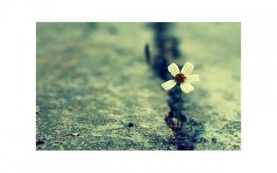 ​虐心催泪的唯美语录