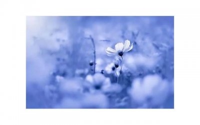 ​土味情话逗比父女（抖音网红早安情话大全）