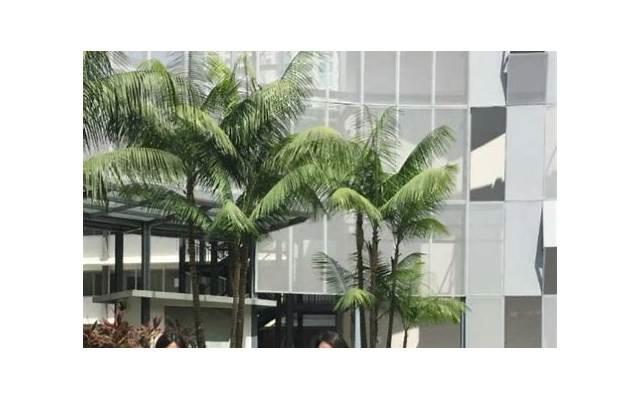 学生经典语录(名人谈大学生经典语录)