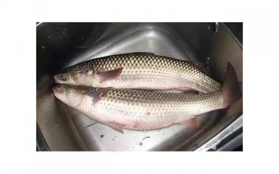 ​结爱千岁大人的初恋关皮皮爱情语录（15-16）爱情不是一个人的事