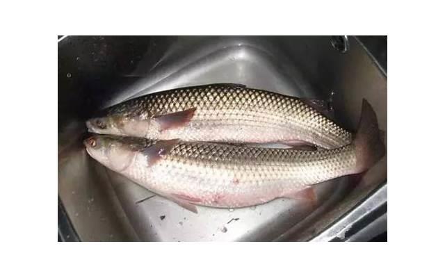 结爱千岁大人的初恋关皮皮爱情语录（15-16）爱情不是一个人的事