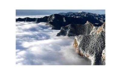 ​情人节浪漫表白语录都有哪些呢