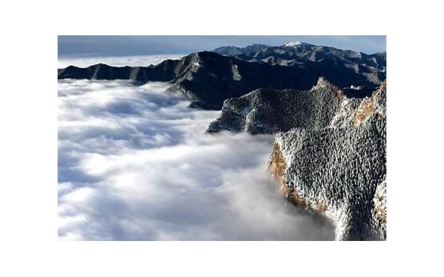 情人节浪漫表白语录都有哪些呢