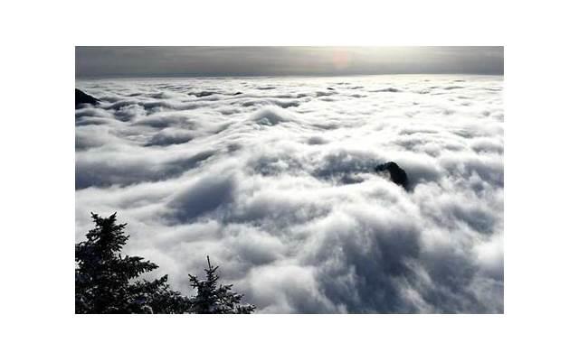 仙剑奇侠传经典片段 仙剑经典语录大全集