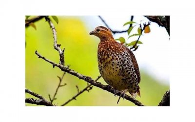 ​爱你无需理由和借口 把男朋友撩到的小情话