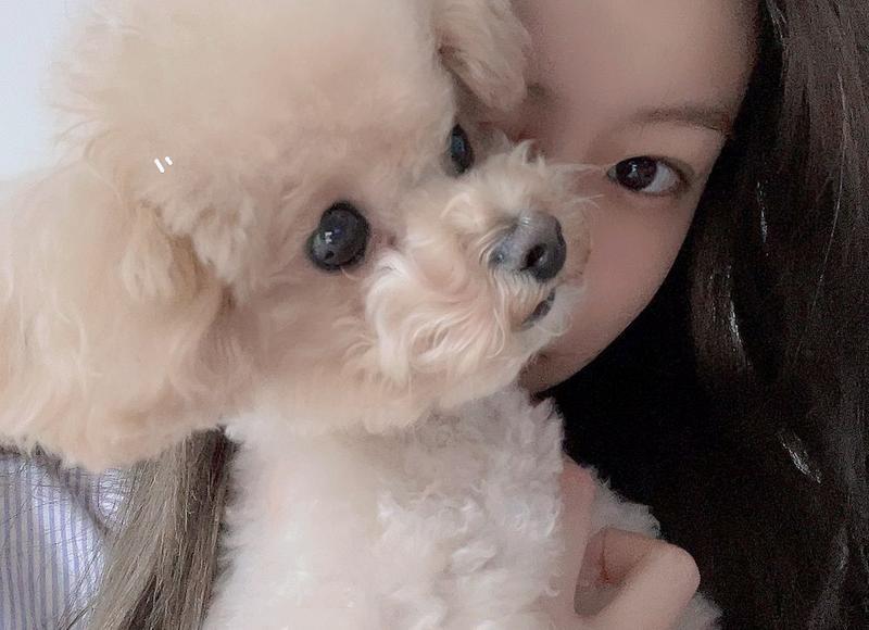 《告白祖国情话》写给平凡的爱的情话