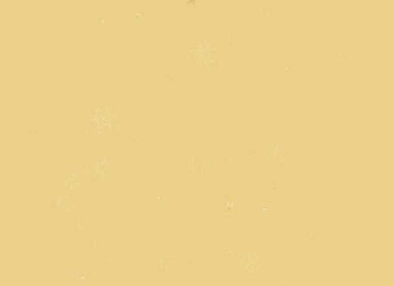 你从哪学的土味情话