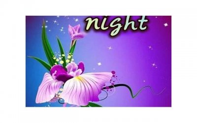 ​撩妹必备的高级土味情话？