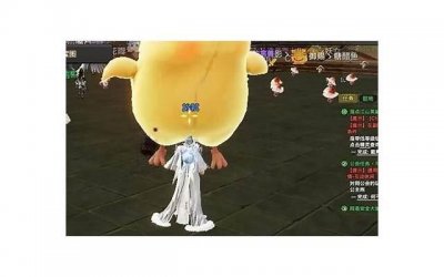 ​你是可爱的小姑娘土味情话(土味情话你是我什么人啊)