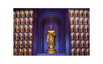 ​特殊的友情最后的一句话(特殊的友情最后的一句话怎么写)