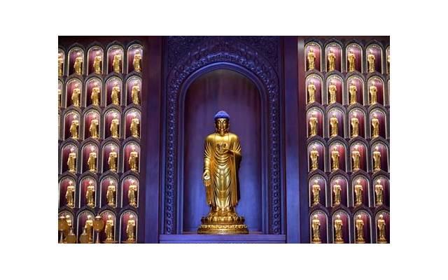 特殊的友情最后的一句话(特殊的友情最后的一句话怎么写)