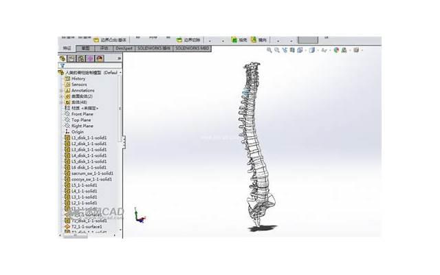 1句霸气的话穿透人心(最冷不过人心，最凉不过人性)