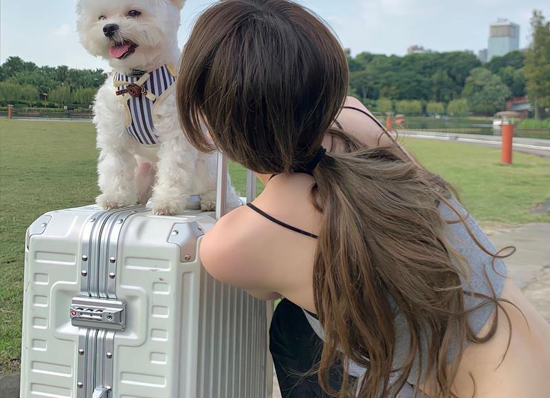 网恋表白的话真实点的，就算不见面也能感动她