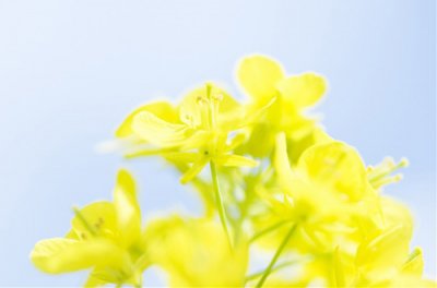 ​五一节祝福语搞笑78句