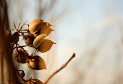 ​跨年祝福语(4篇)