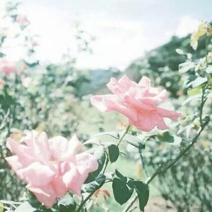 关子本年的祝福成语