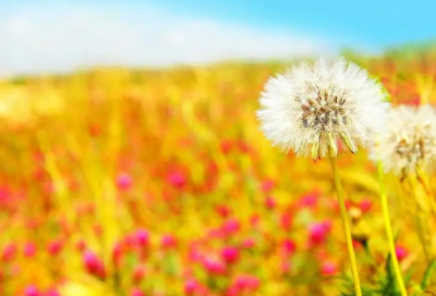 ​微信朋友圈吸引人语句(精选65句)