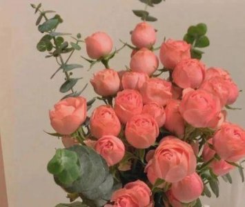 ​朋友圈正能量句子摘录50条