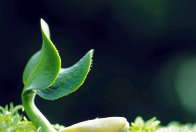 ​珍惜友谊的句子 友谊的句子唯美文案(95句)