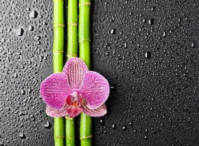 ​高冷的两字网名