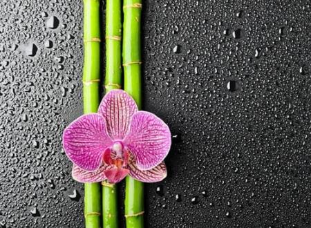 高冷的两字网名