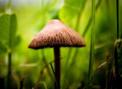 ​二字古风网名诗意版