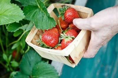 ​女儿婚宴邀请短信53句