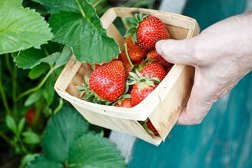 女儿婚宴邀请短信53句