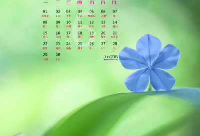 端午节祝福语短信