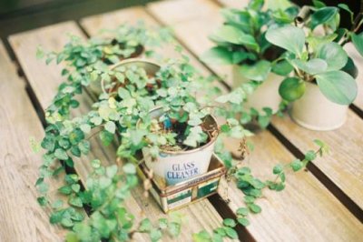 学生对学校的祝福语 学校祝福语四字成语