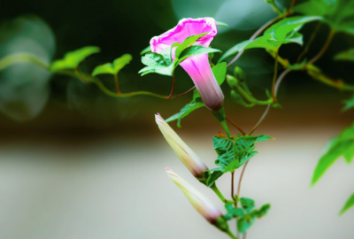 ​今日好冷的朋友圈说说(精选27句)