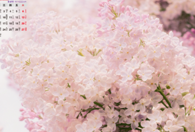 ​新年短信祝福语