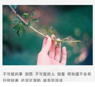 初中毕业班教师寄语