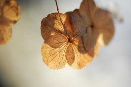 比较惊艳的古风单字