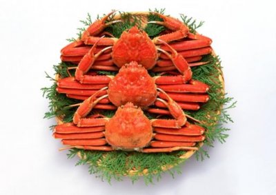 ​元旦祝福自己的话简短（祝自己的句子简短的）