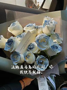 ​未来无限好的唯美句子 ：凡是过往皆是序章，所有未来皆有可盼