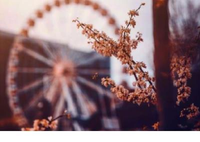 重阳节祝福语老人简短