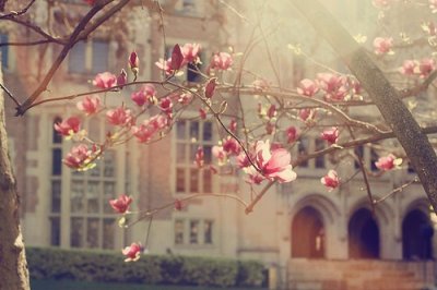 端午节廉洁提醒短信(45句)