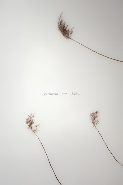 四十岁女人的心灵寄语