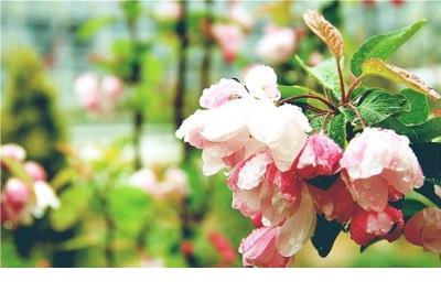 高考祝福四字成语