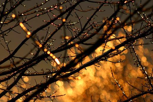 简短圣诞节祝福语