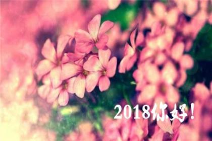 对一对情侣的祝福语