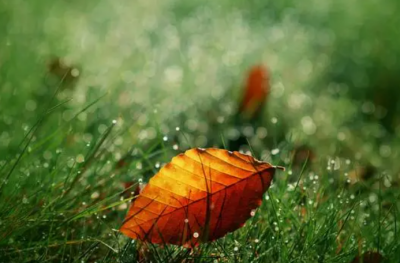 ​老年人八十大寿经典祝福语(精选32句)