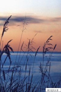 ​静待花开励志作文素材(等待而成功的事例)