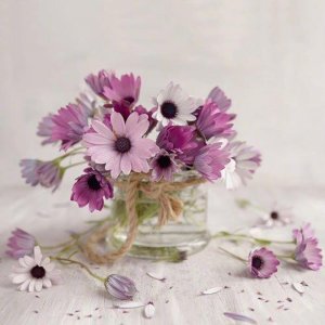 ​七夕情人节祝福语（七夕情人节祝福短信）